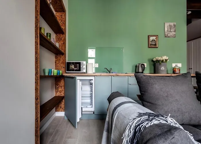 Ap 17 公寓 利沃夫